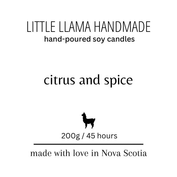 Citrus and Spice Soy Candle