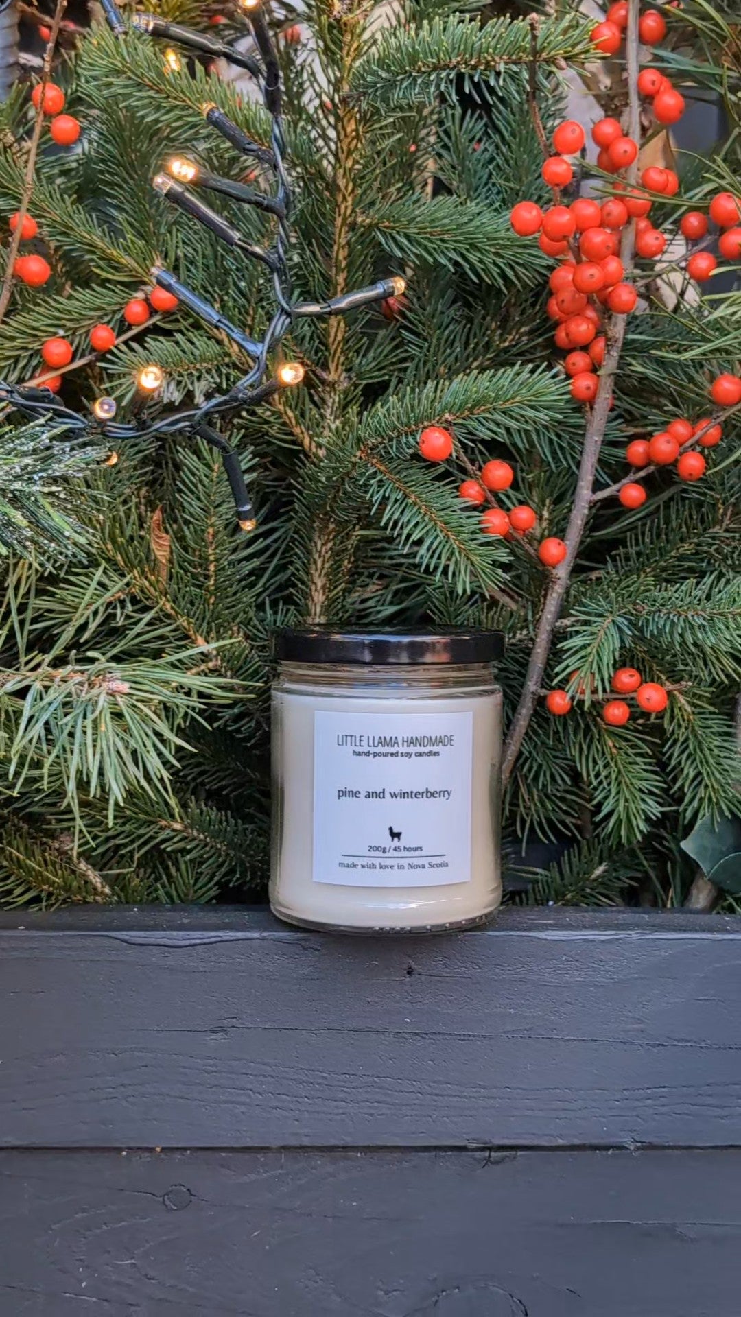 Pine and Winterberry Soy Candle