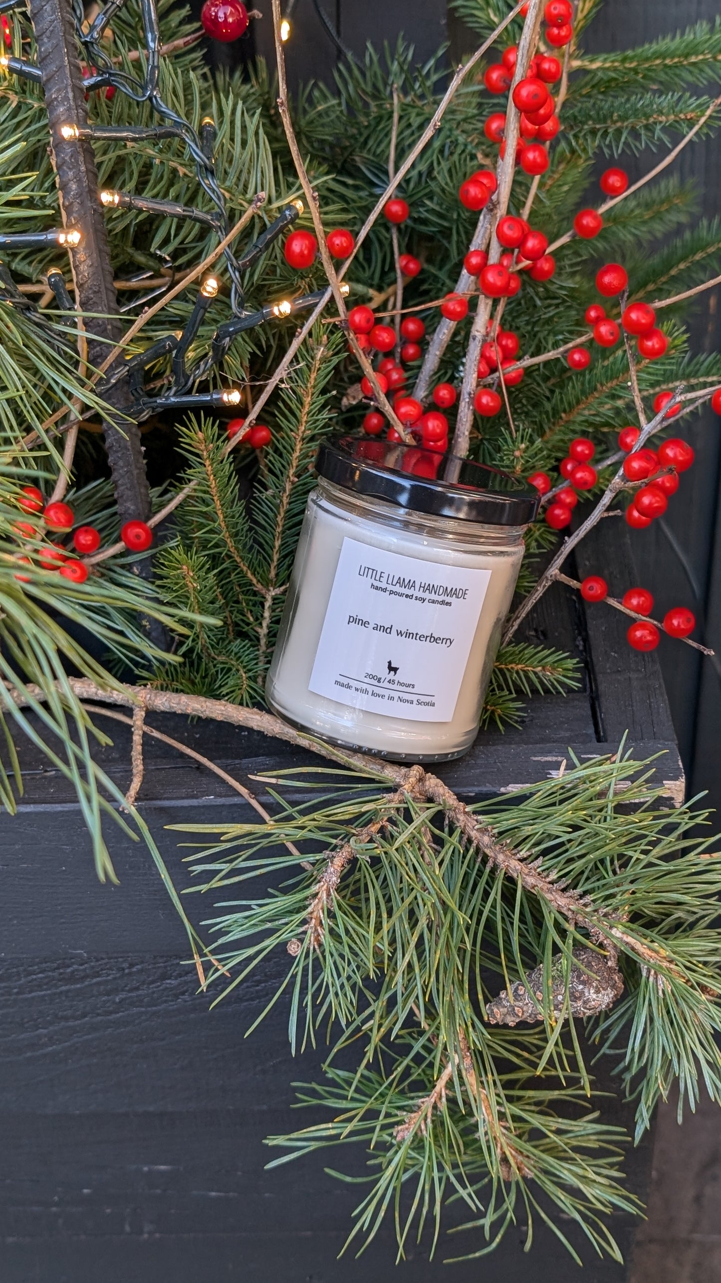 Pine and Winterberry Soy Candle