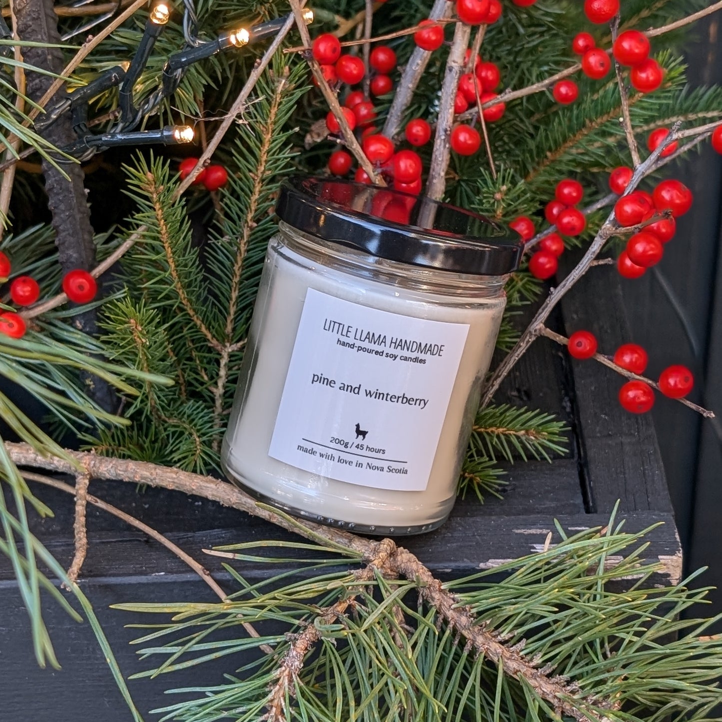 Pine and Winterberry Soy Candle