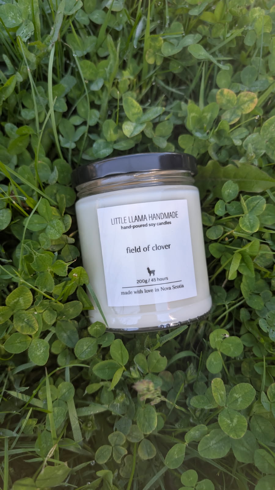 Field of Clover Soy Candle