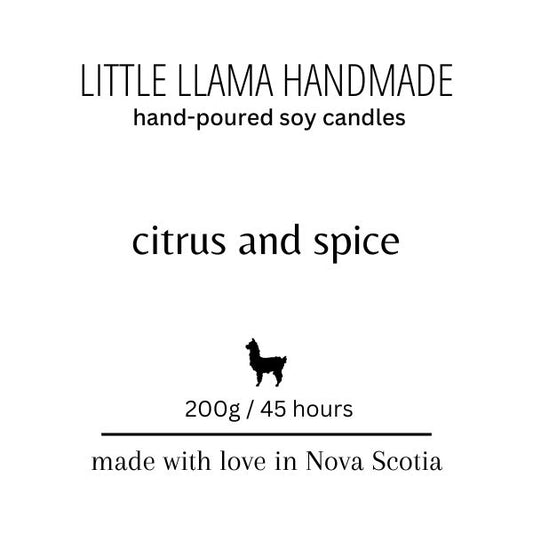 Citrus and Spice Soy Candle